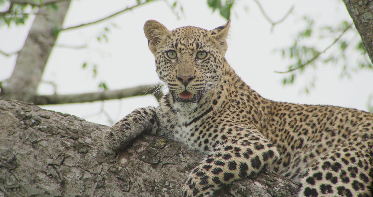 sample投稿2（見出し確認）